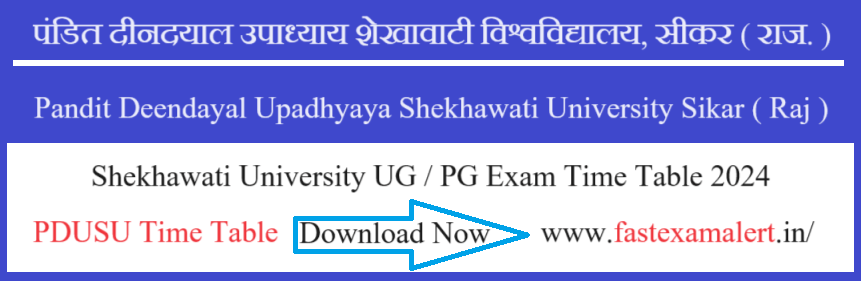 PDUSU Bcom Time Table 2024
