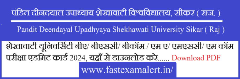 PDUSU MA Admit Card 2024